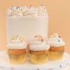 Picture of Opera chocolate cakes |Cupcakes