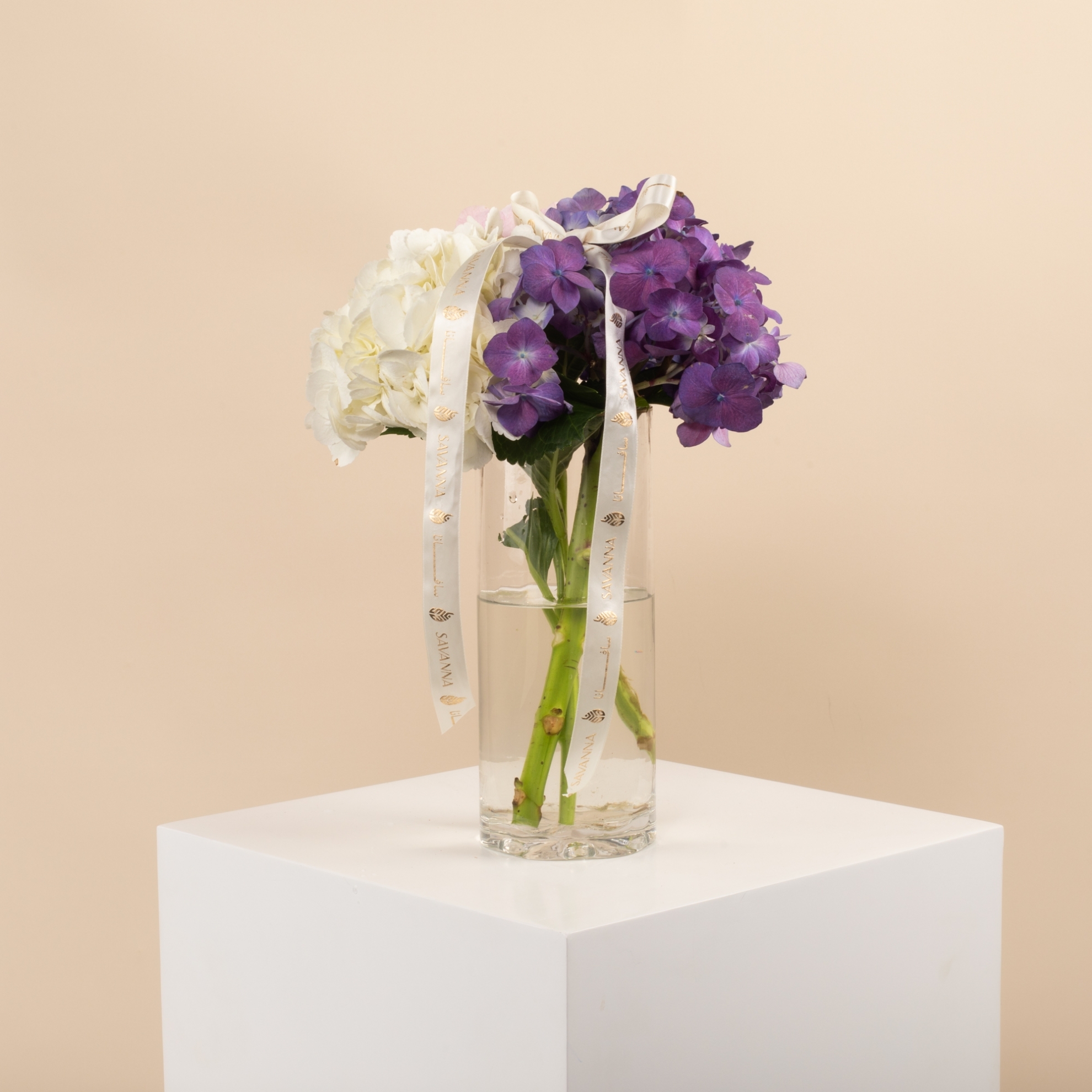 Picture of Birthday Hygrangea vase