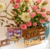 Picture of Savanna Eid Tray |Chocolate