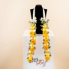 Picture of Savanna Graduation Necklace