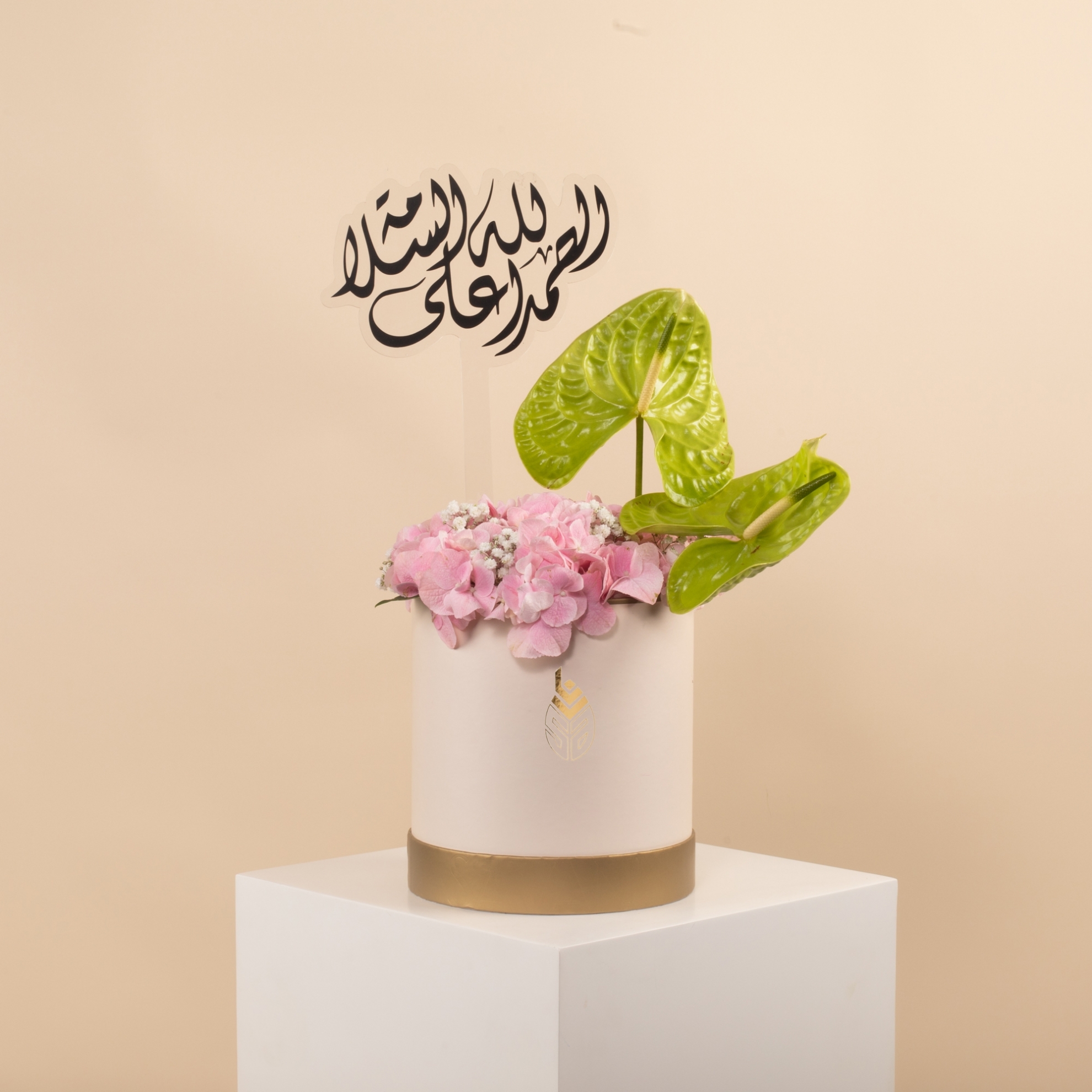 Picture of Get Well Soon Flowers Box | Anthurium Green