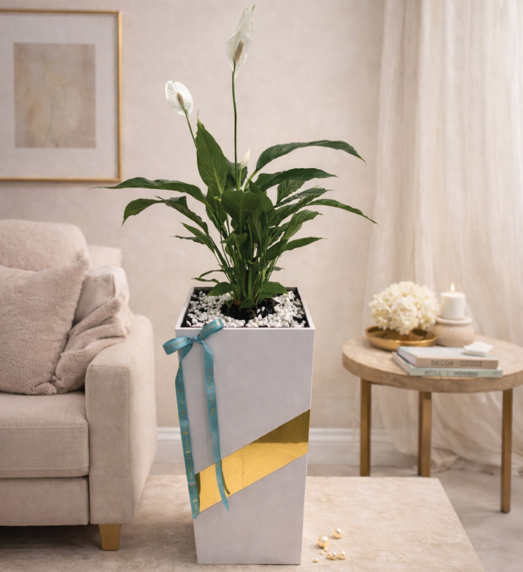 Picture of Indoor Lilly