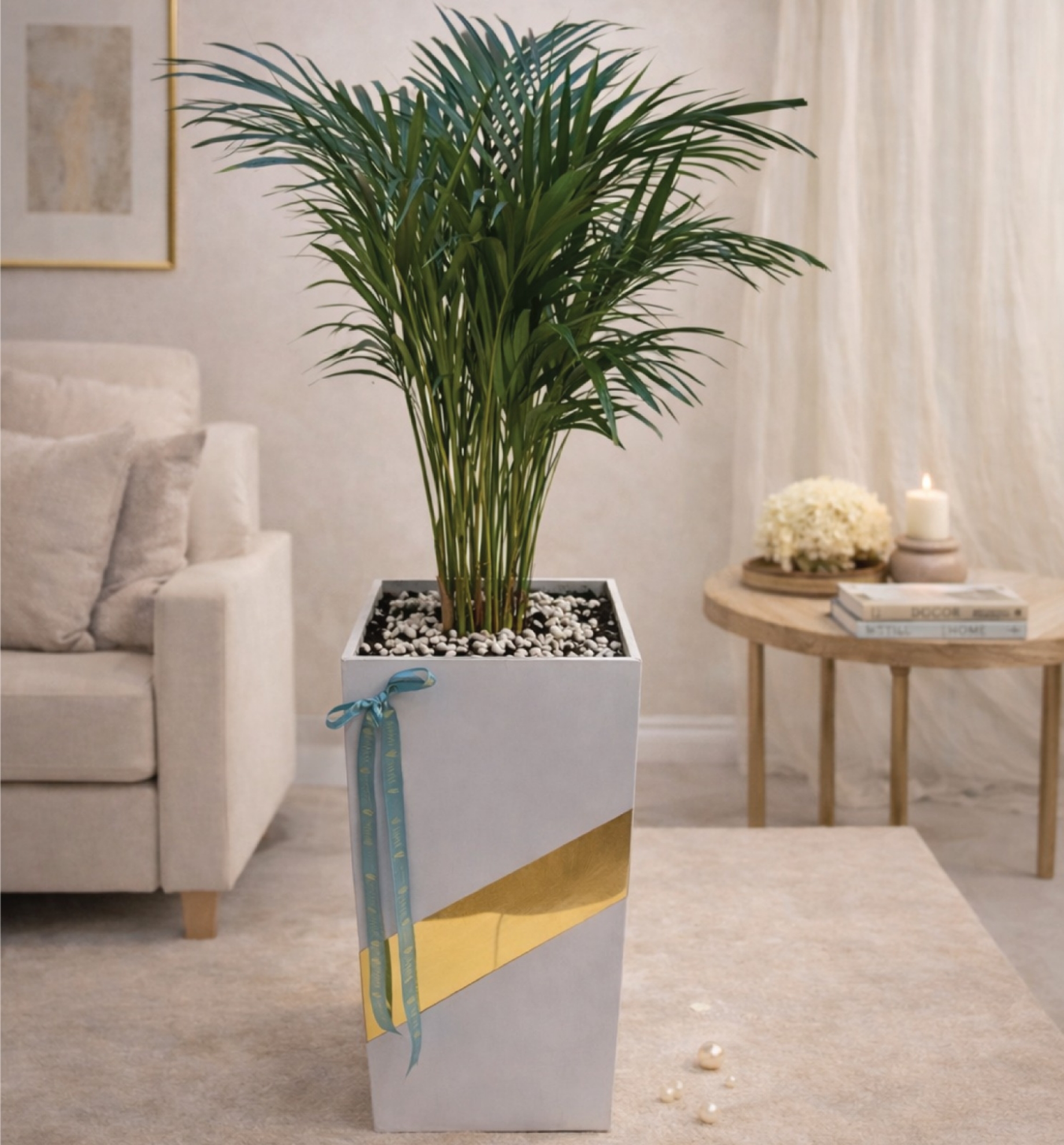 Picture of Areca Palm